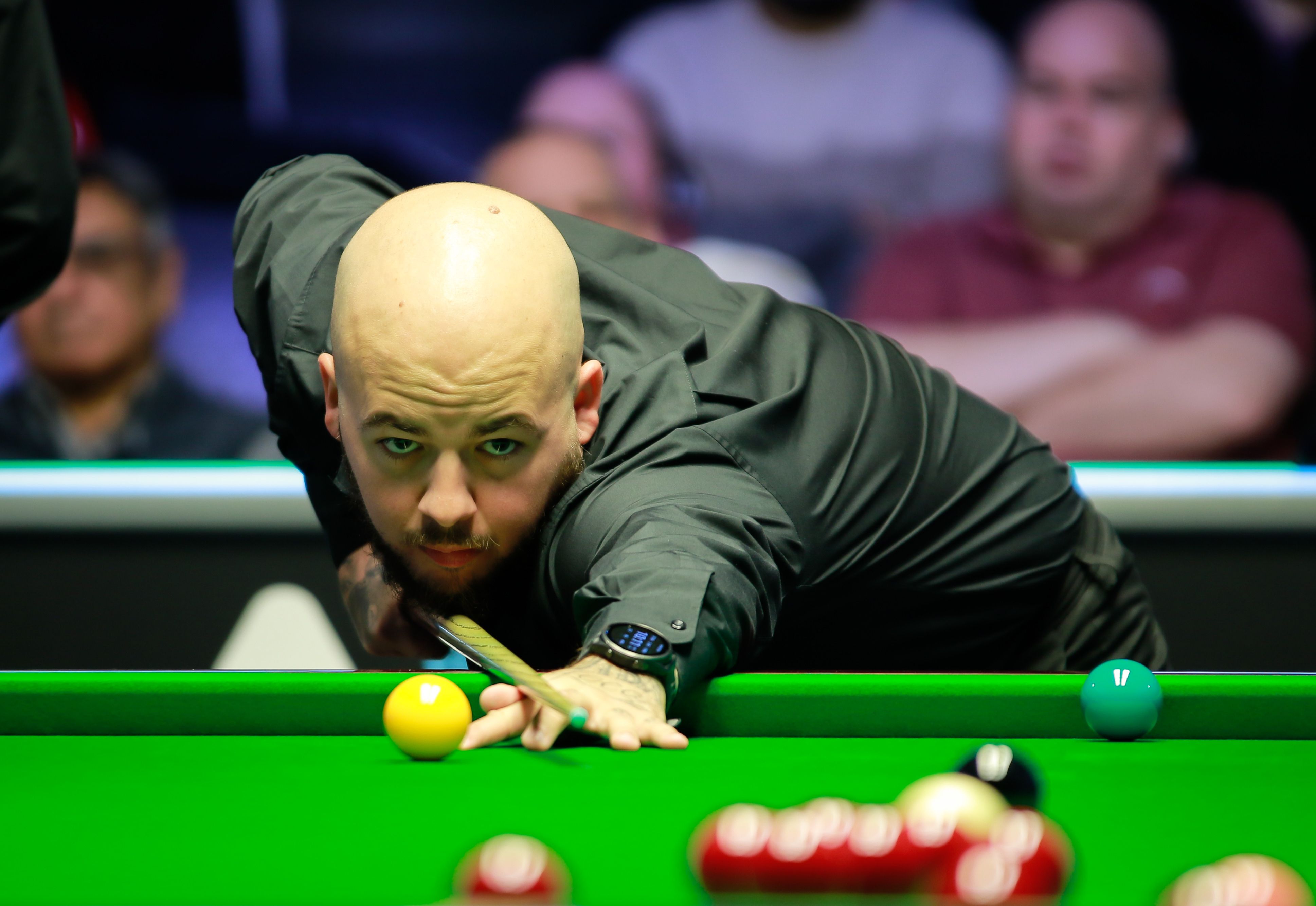 例如舍夫勒 例如舍夫勒