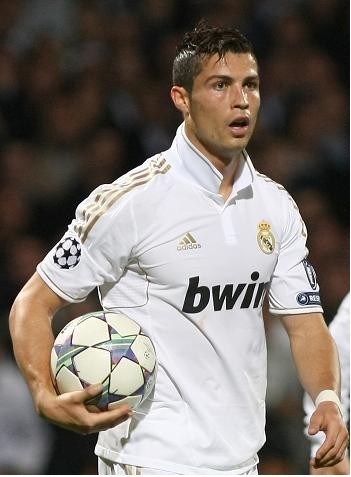 培养的结合 培养的结合